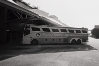 21_disney-magical-express.jpg