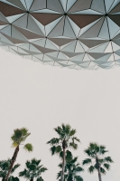 21_epcot-ss-earth-ptrees.jpg