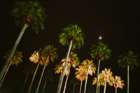 21_h-studios-neon-trees.jpg
