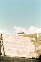23_maine-creeping-house.jpg