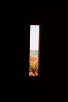 23_maine-flower-light-hole.jpg