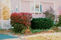 23_maine-pink-house.jpg