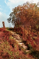23_maine-steps-1.jpg