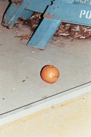 24_blue-orange-police-sidewalk.jpg