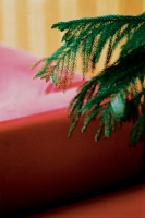 24_red-couch-green-leaves.jpg