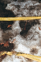 24_snow-yellow-caution-tape.jpg